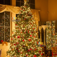 Ledstory Гирлянда светодиодная роса 30 метров